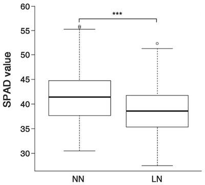 Effects of SPAD value variations according to nitrogen application levels on rice yield and its components